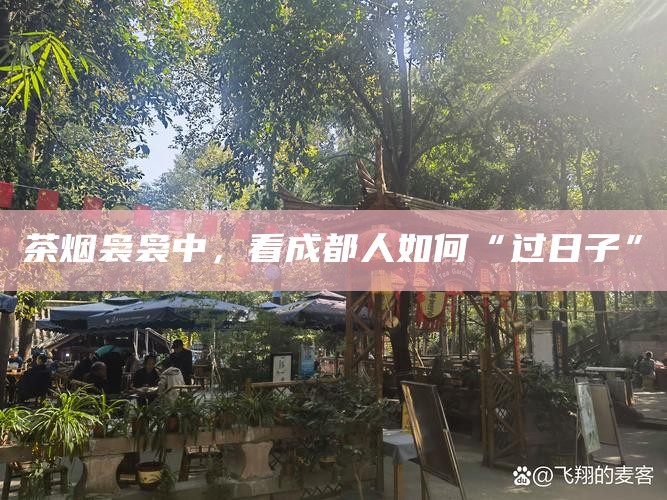 茶烟袅袅中，看成都人如何“过日子”
