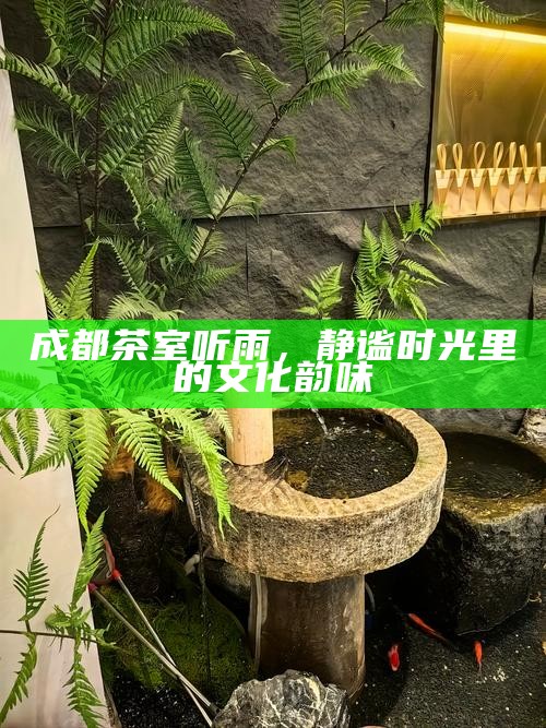 成都茶室听雨，静谧时光里的文化韵味