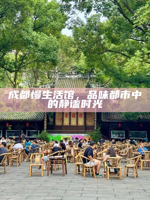 成都慢生活馆，品味都市中的静谧时光