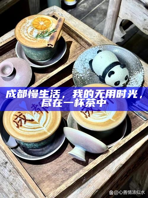 成都慢生活，我的无用时光，尽在一杯茶中
